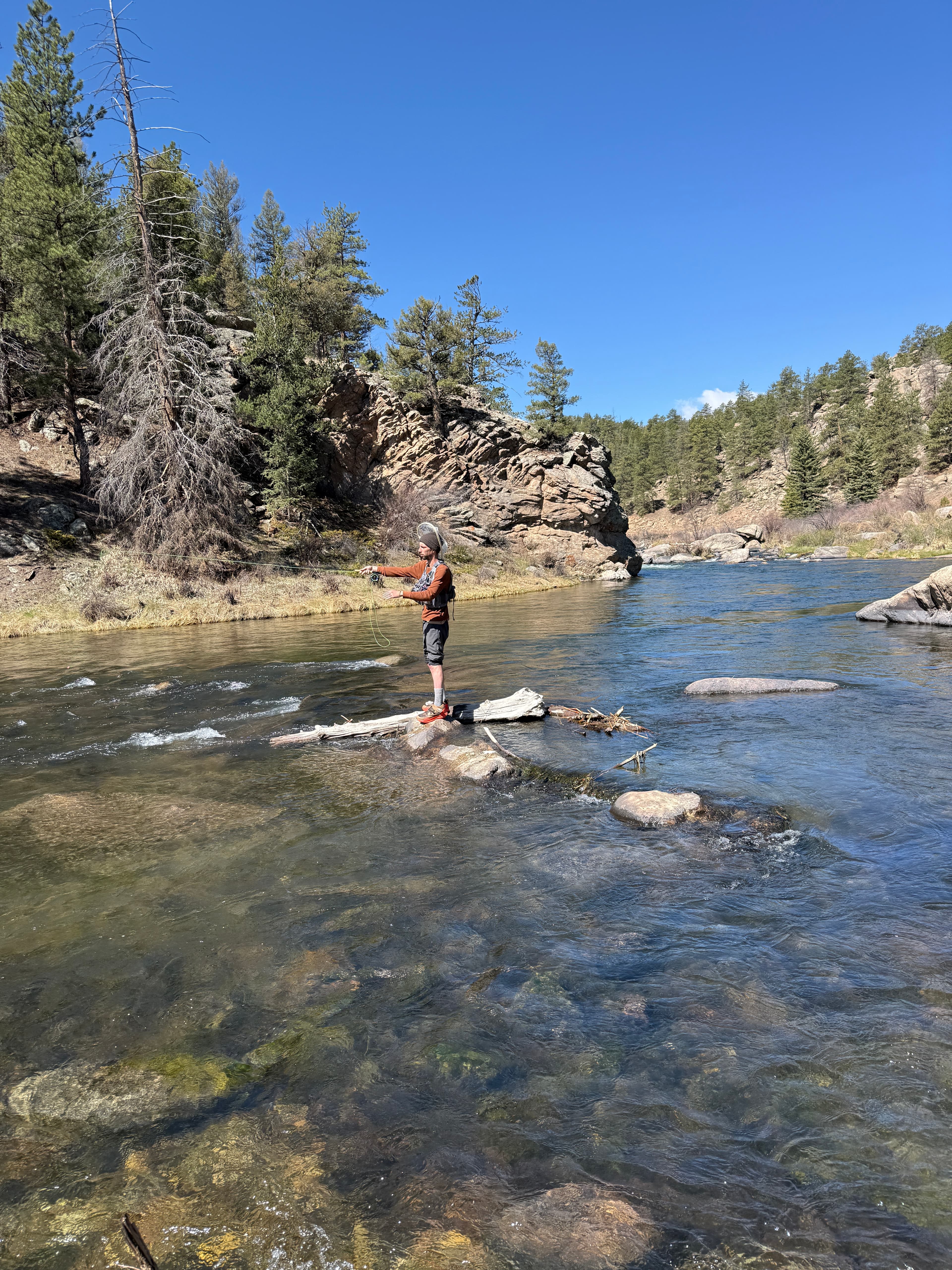 Guide holding a fish in the river